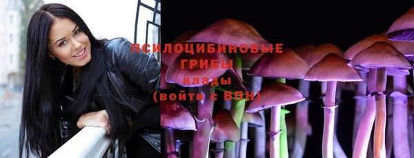 МДПВ Алагир