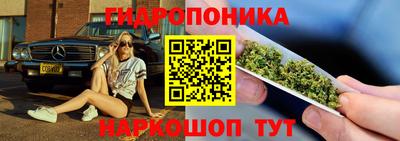 кокс Аргун