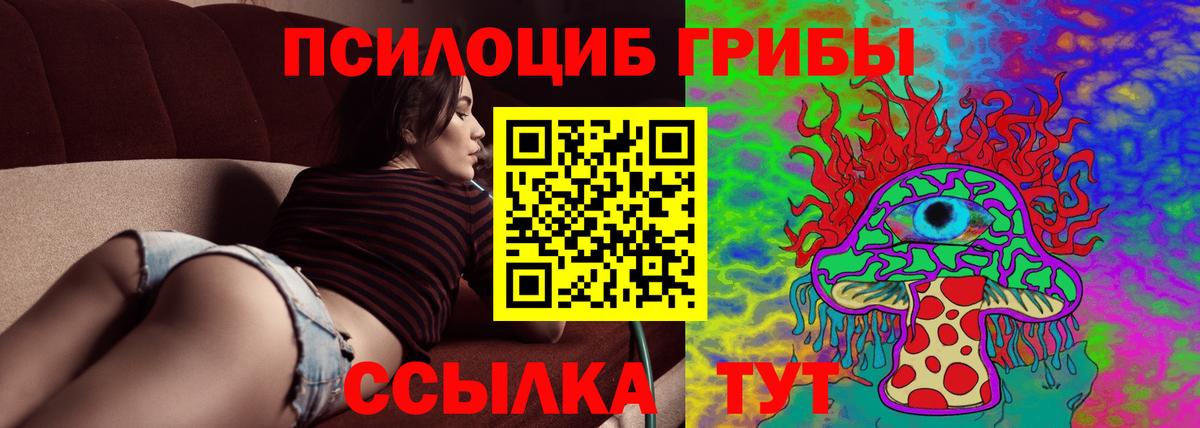 Галлюциногенные грибы Cubensis  Псилоцибиновые грибы ЛСД  Белгород 