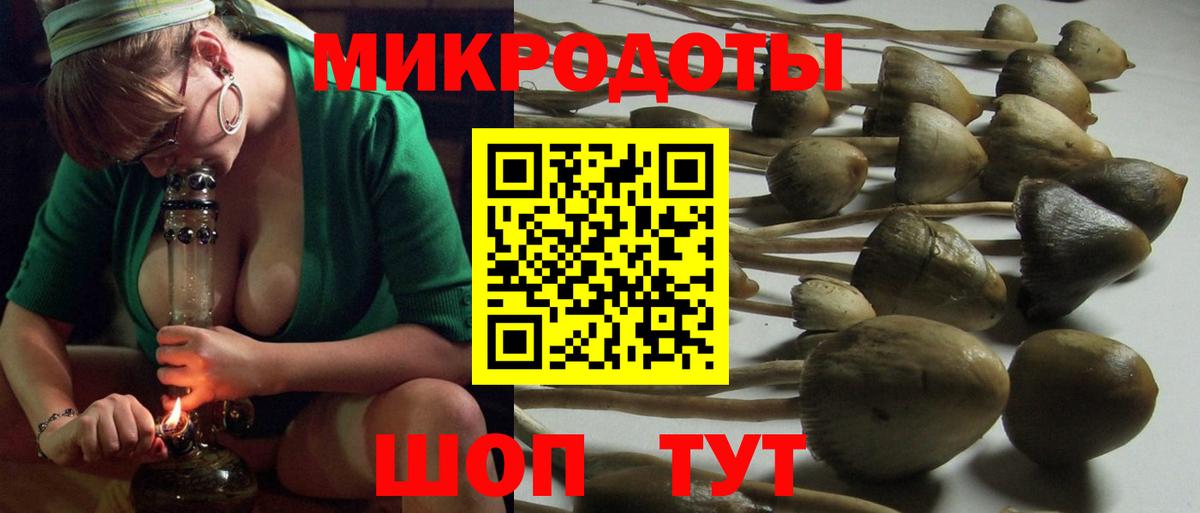 Галлюциногенные грибы Psilocybine cubensis  Галлюциногенные грибы мухоморы  Белгород  Вход с VPN 