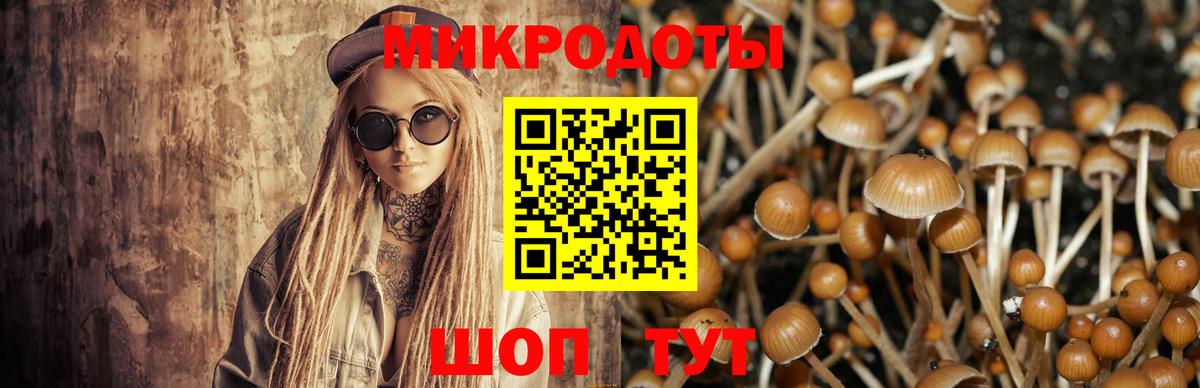 Псилоцибиновые грибы GOLDEN TEACHER Белгород